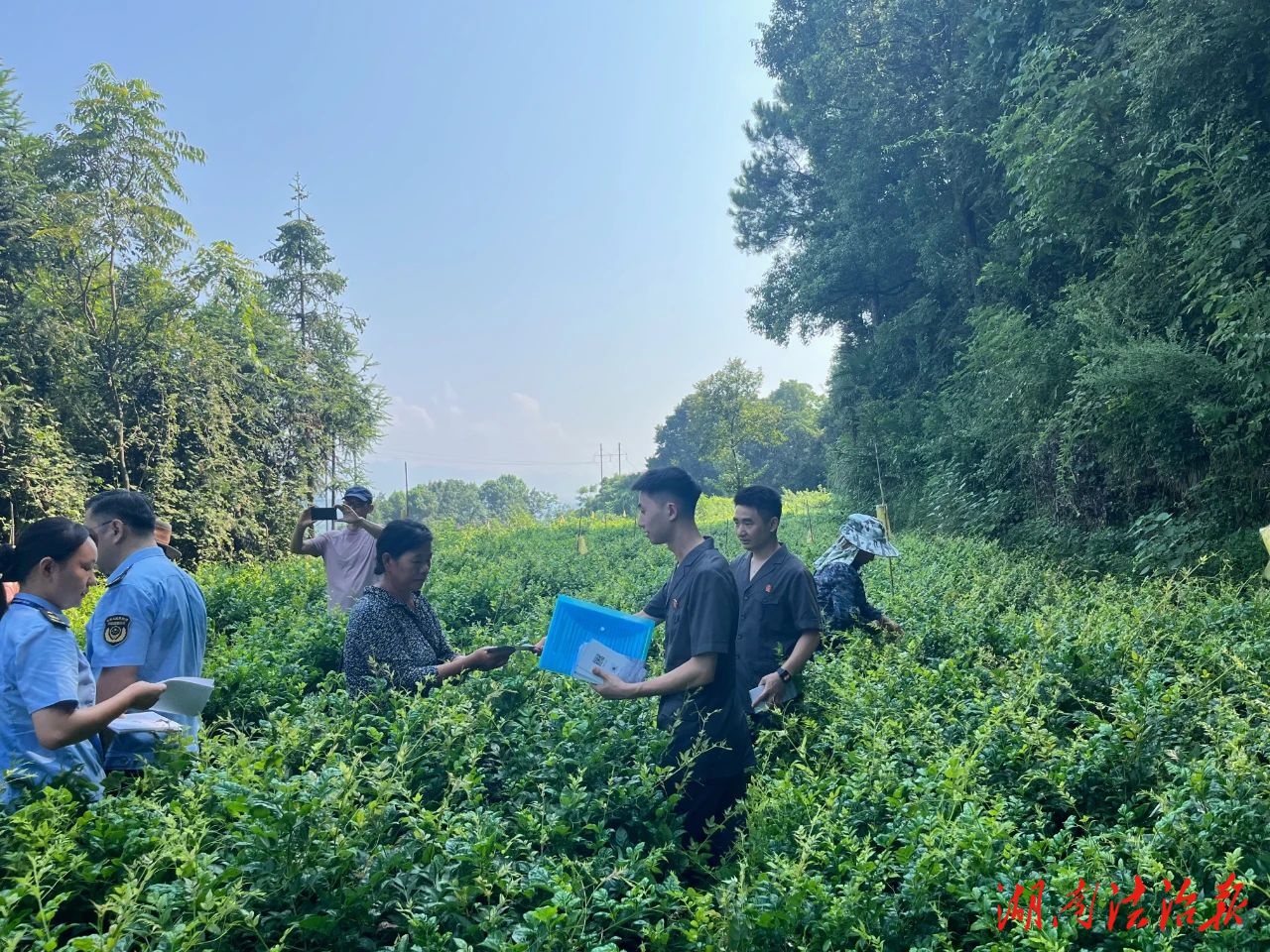 永定區(qū)法院聯合永定區(qū)市監(jiān)局開展“地理標志賦能莓茶產業(yè)發(fā)展”送法進企業(yè)專題活動