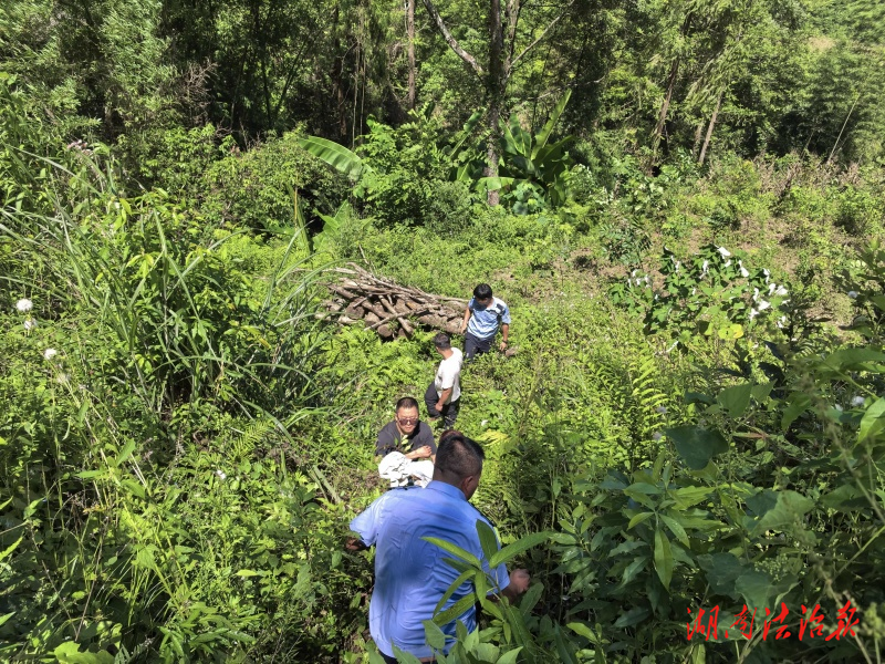 龙山公安：寻菌心切陷险境，警民联动解危机