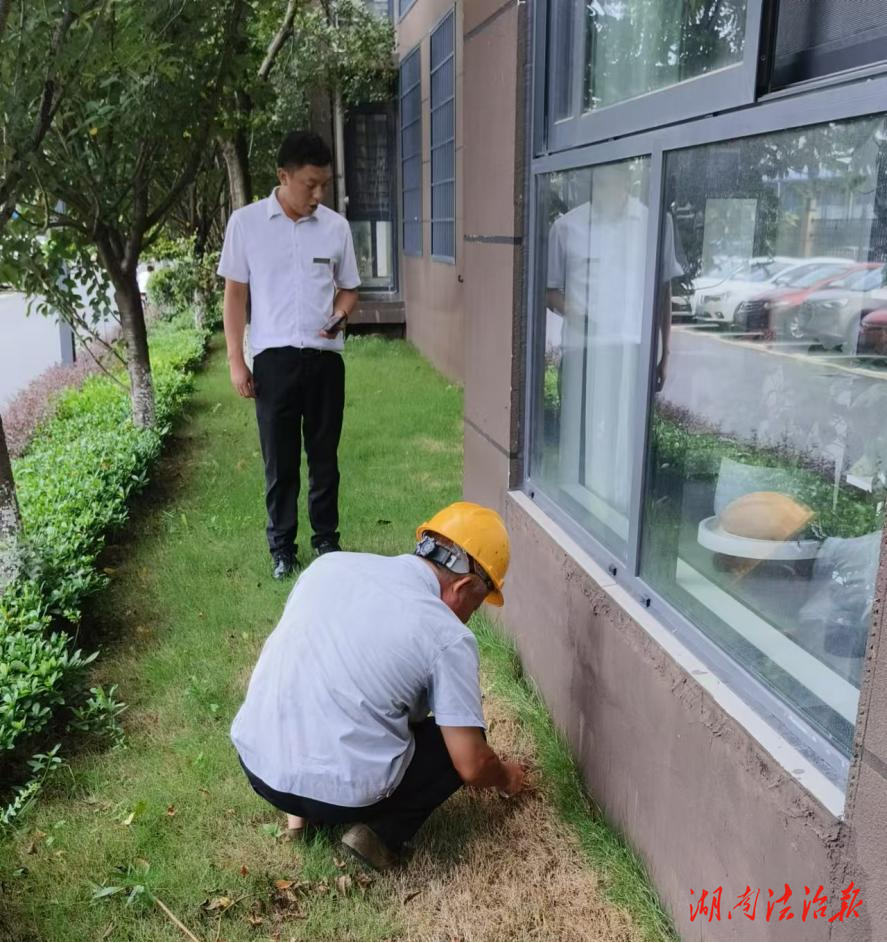 江永住保：科學(xué)防治白蟻 全力守護(hù)群眾居住安全