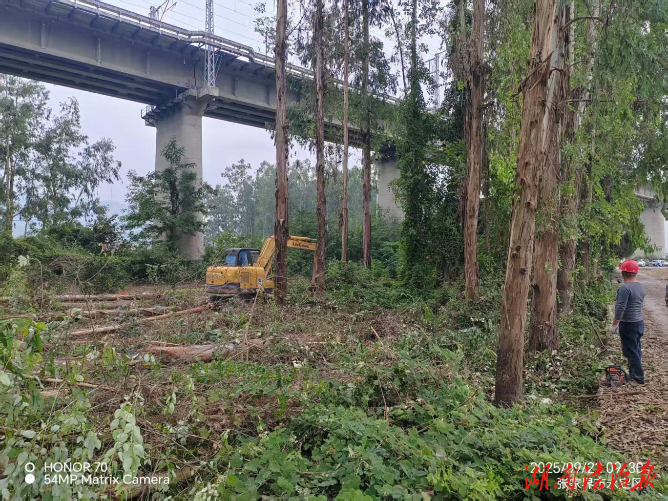 陽(yáng)湖坪街道辦事處聯(lián)合多部門清除高鐵沿線安全隱患 護(hù)航鐵路運(yùn)輸安全