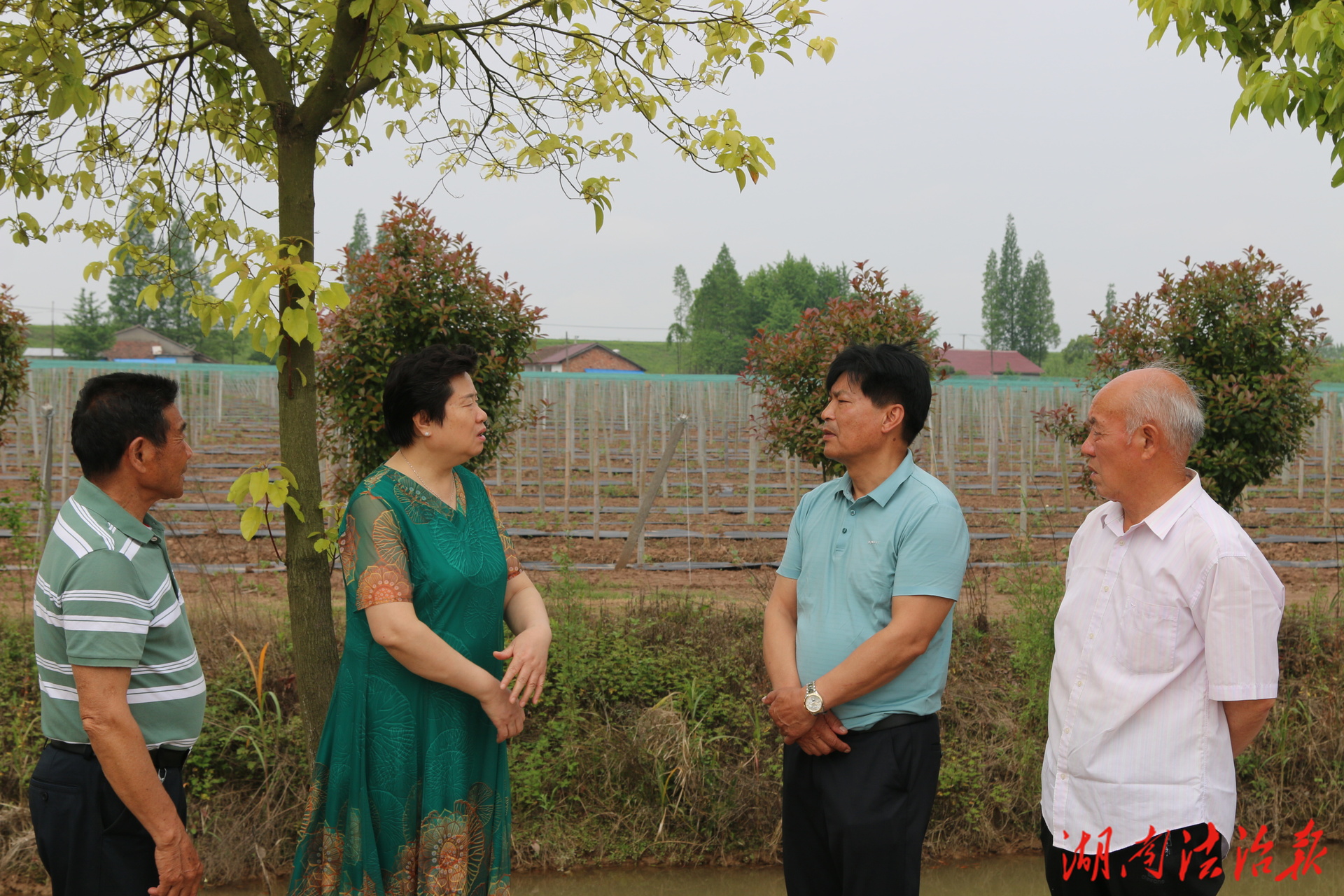 沅江市老科協(xié)：打造特色品牌，助力高質(zhì)量發(fā)展