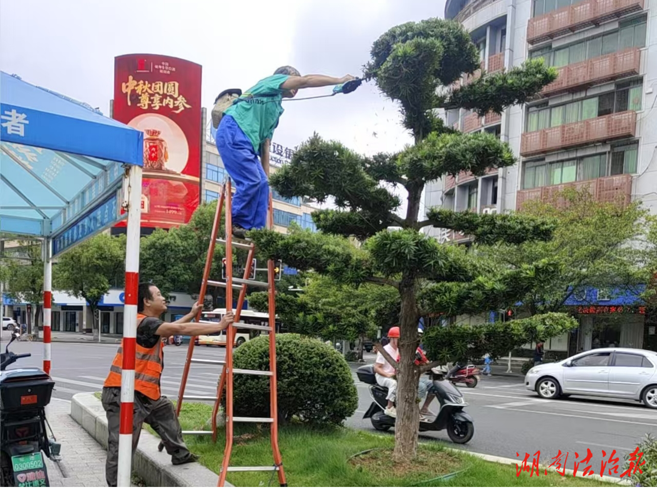 冷水滩区环卫和园林中心全面助力湘超联赛永州主场首场赛事
