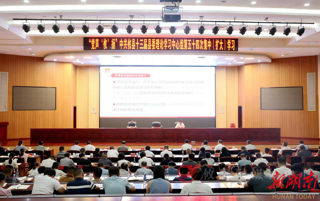 株洲攸縣組織開展《民營(yíng)經(jīng)濟(jì)促進(jìn)法》集中學(xué)習(xí)