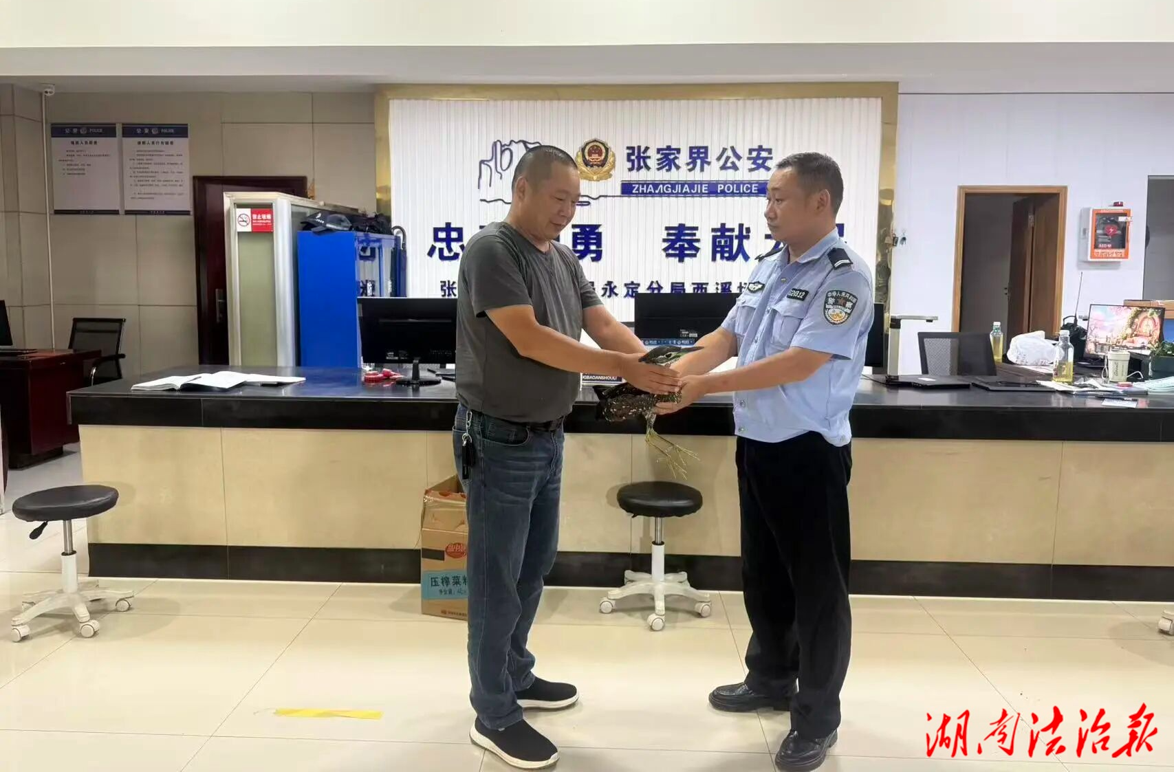 警民聯(lián)手救助“國寶級”珍禽，它的身份不簡單……