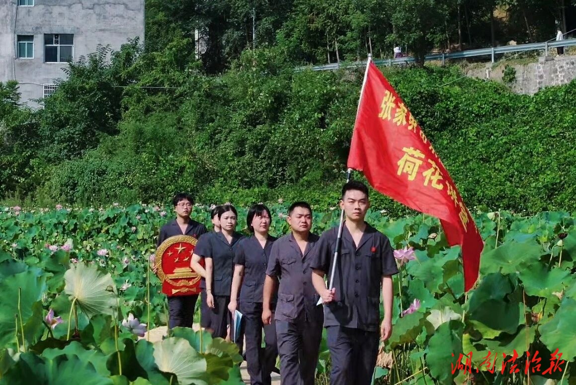 永定區(qū)法院法庭黨支部：支部扎根融鄉(xiāng)土，法庭播法潤民心