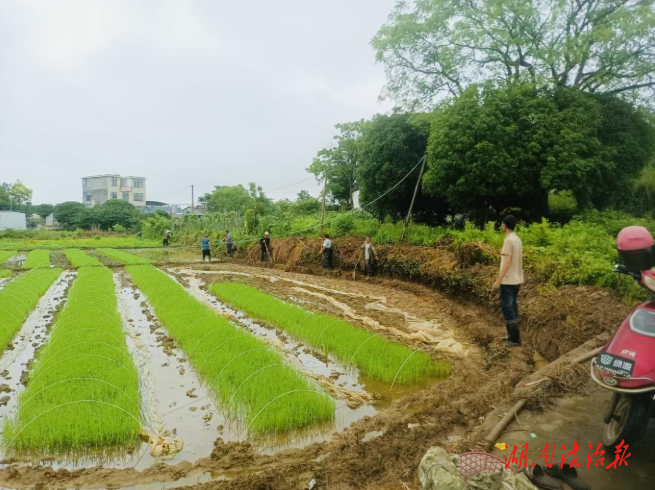 回龍圩:黨建引領(lǐng)聚合力 清渠清淤促民生