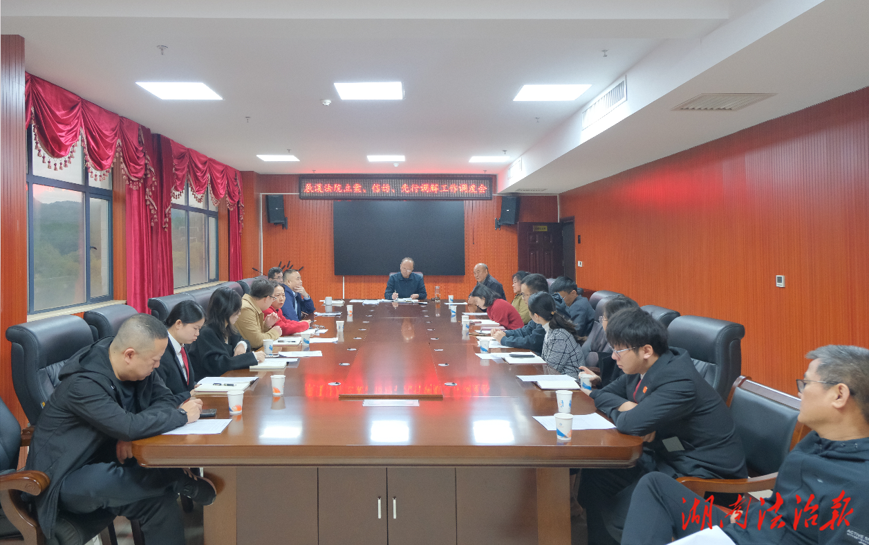 辰溪法院召開(kāi)立案、信訪、先行調(diào)解工作調(diào)度會(huì)