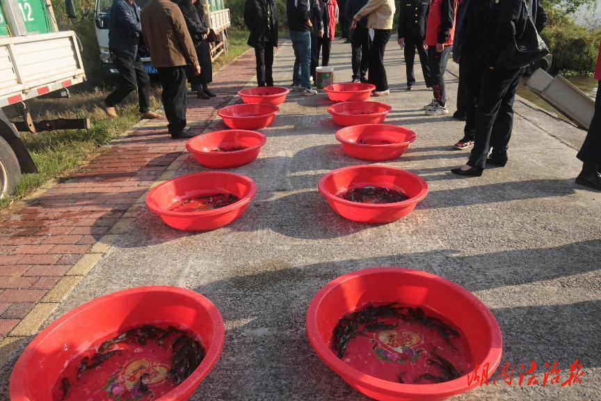 衡陽縣81萬尾魚苗人工放流蒸水河