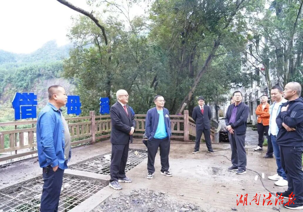 沅陵法院發(fā)出司法建議，全力守護三百年古樹生命線
