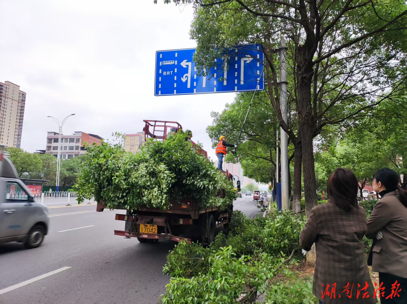 【首位度·潔綠行】守護市民“頭頂安全”,冷水灘區(qū)環(huán)衛(wèi)和園林中心為城區(qū)行道樹“理發(fā)清障”