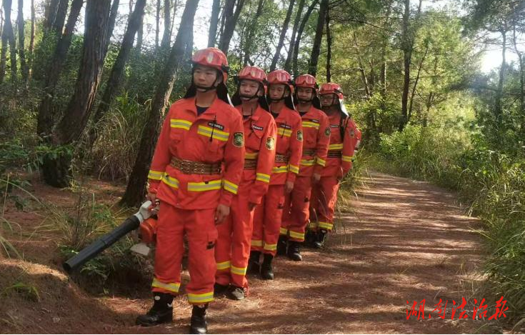 道縣全力做好秋冬森林防滅火工作