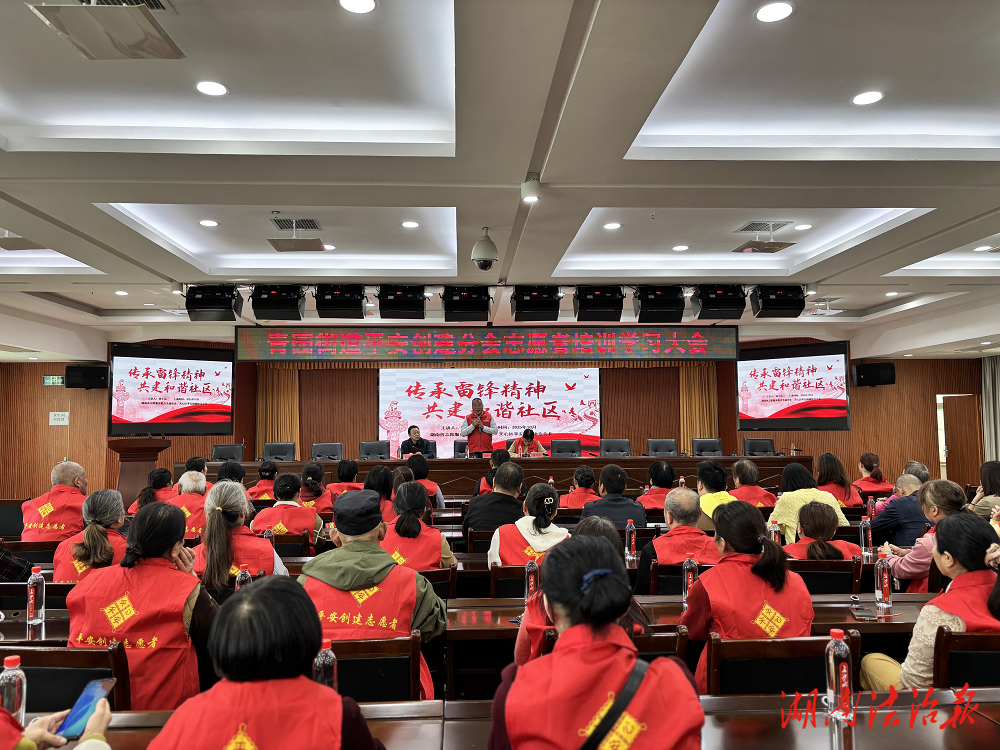 聚力提質(zhì)，賦能社區(qū) 長沙青園街道百余名志愿者集中“充電”