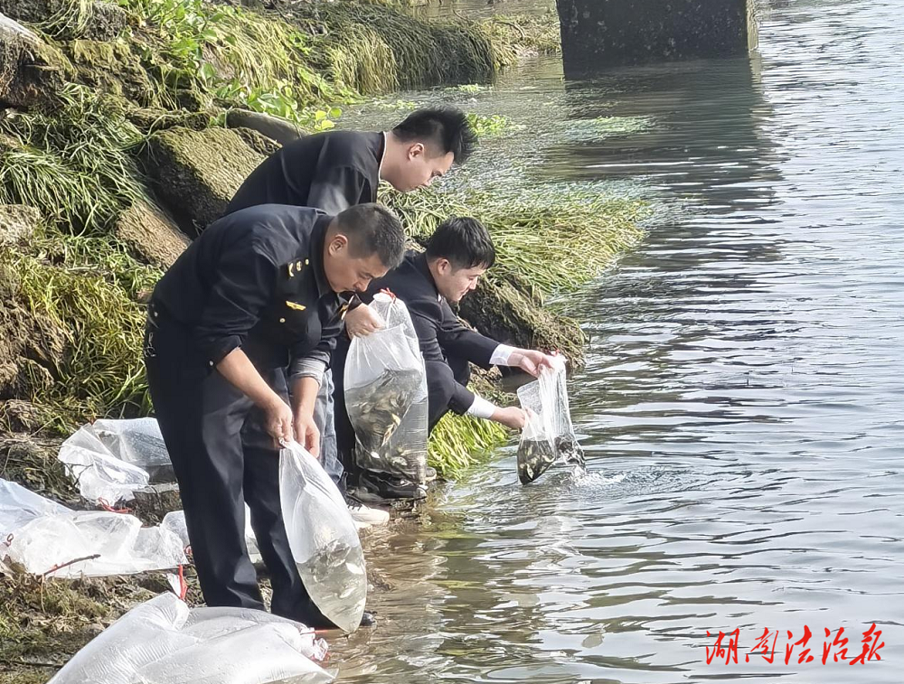 公益訴訟增殖放流 守護(hù)雙牌生態(tài)之美