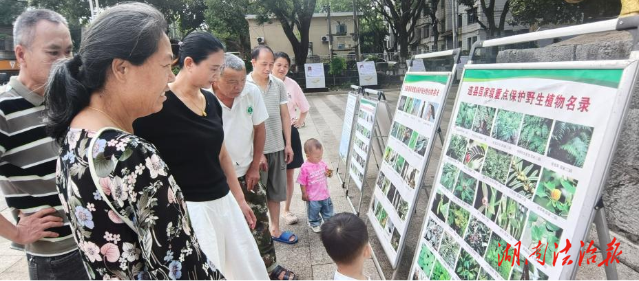 道縣提質(zhì)基層執(zhí)法 服務(wù)生態(tài)建設(shè)