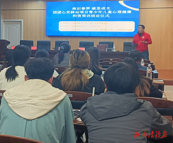 桃江縣開展青少年兒童心理健康師資培訓(xùn)