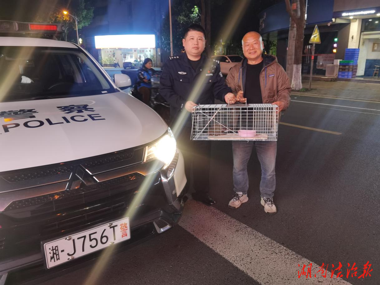 津市市森林公安成功救助一只國(guó)家二級(jí)保護(hù)鳥類