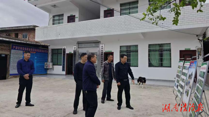 道縣：守好“千年鳥道” 護(hù)航候鳥遷飛