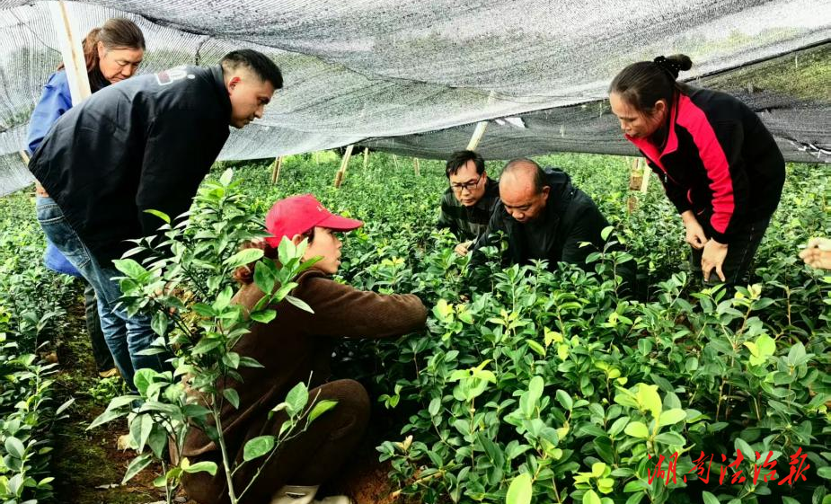 道縣：堅持綠色發(fā)展 促進生態(tài)向好