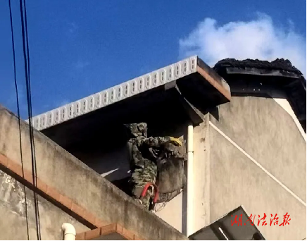 “蜂”險解除！居民家中驚現蜂窩 民警果斷出手“連窩端”