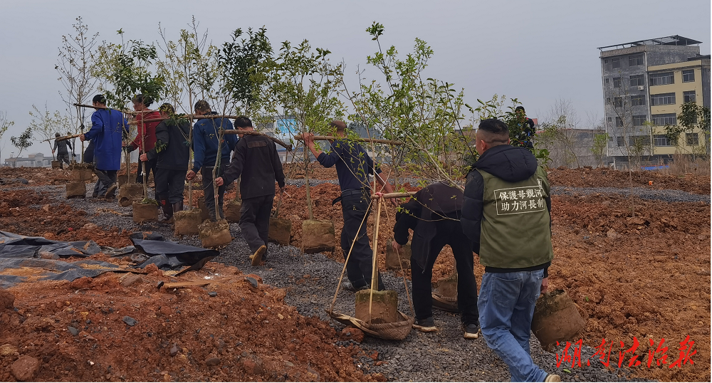 ?道縣良好營商環(huán)境促進林業(yè)發(fā)展