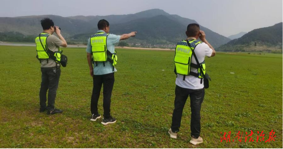 道縣“五個(gè)保障”助力候鳥遷飛