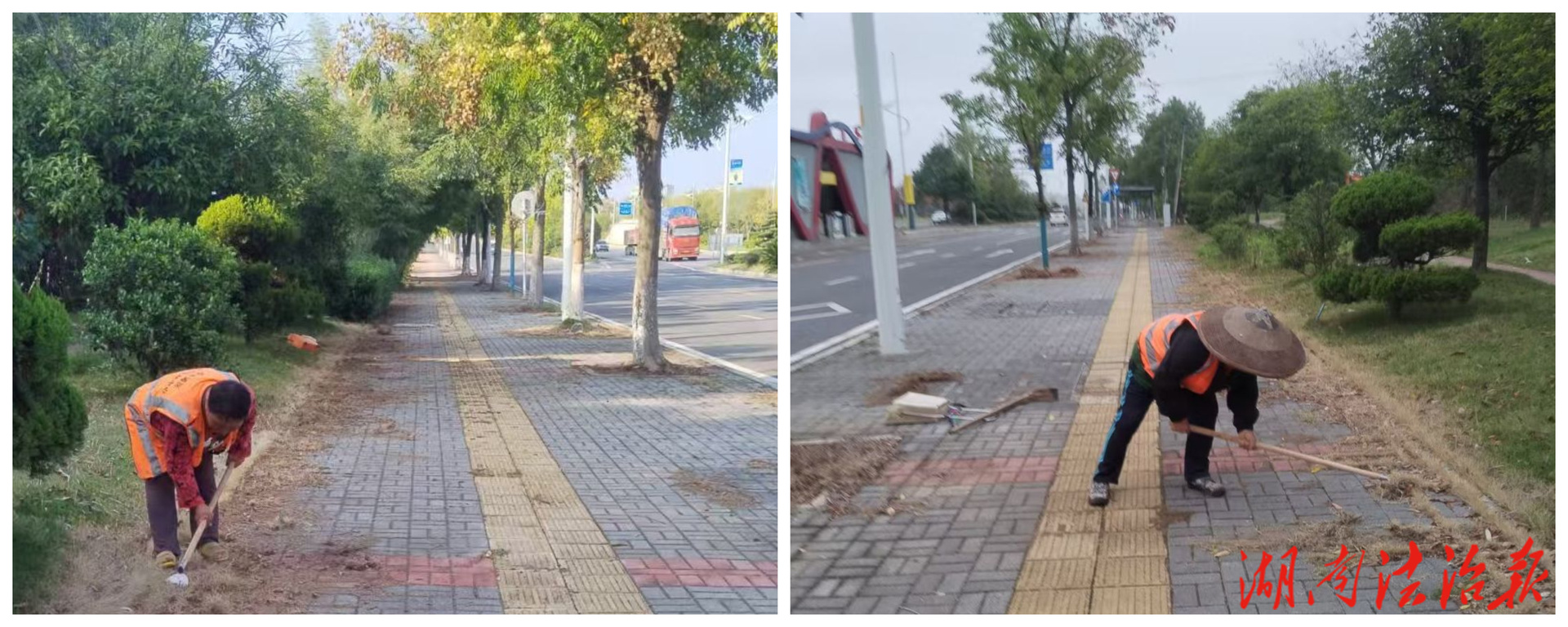 【首位度·洁绿行】冷水滩区环卫和园林中心：用“绣花”功夫，提升永州大道颜值