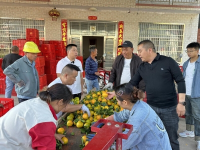 慈利縣楊柳鋪鄉(xiāng)：把監(jiān)督實效轉(zhuǎn)化為發(fā)展實效