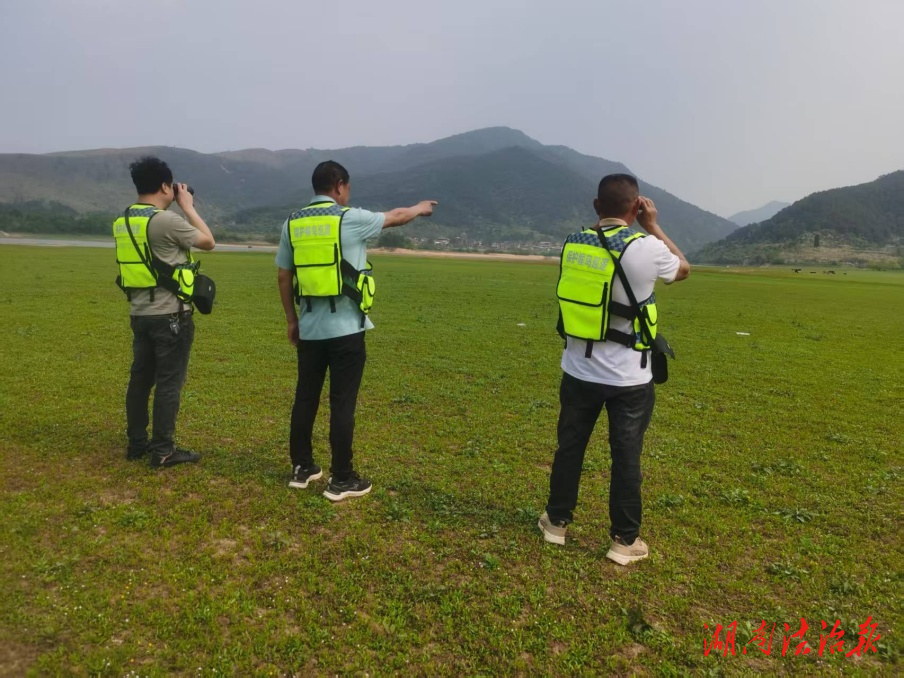 道縣多項(xiàng)舉措完善候鳥保護(hù)站巡護(hù)值守新規(guī)