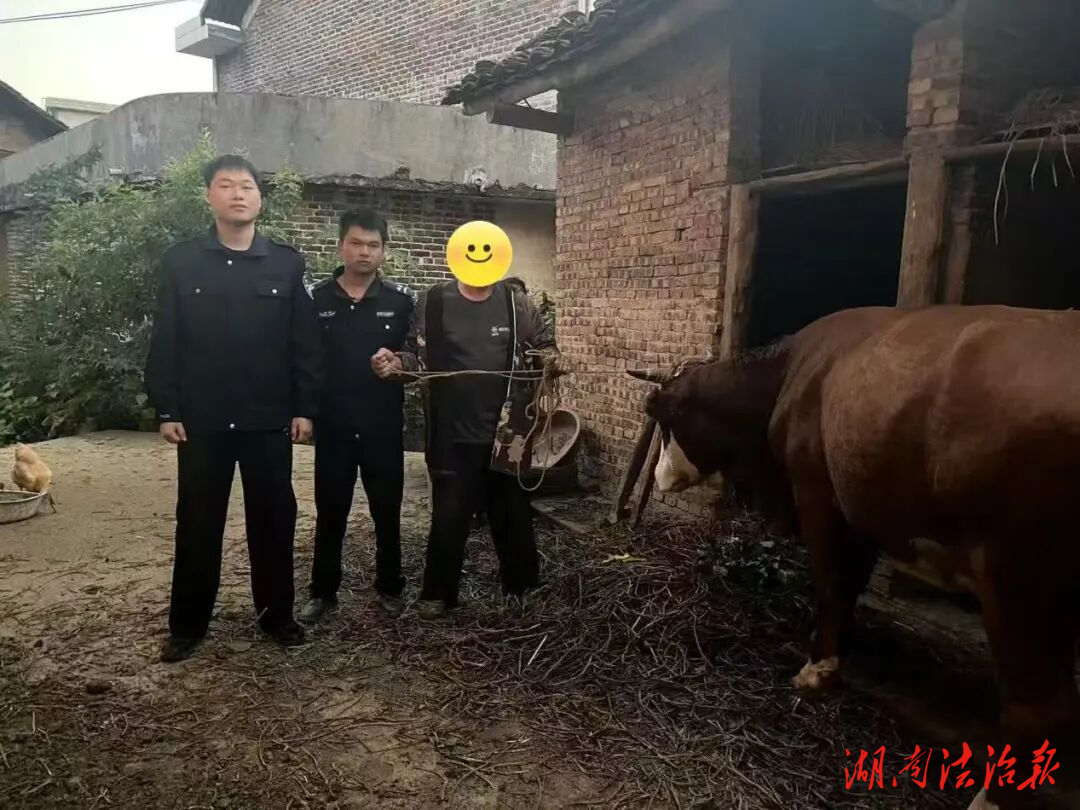 暖心！耕田“老伙計”走失，民警徒步8小時，幫老鄉(xiāng)尋回“命根子”