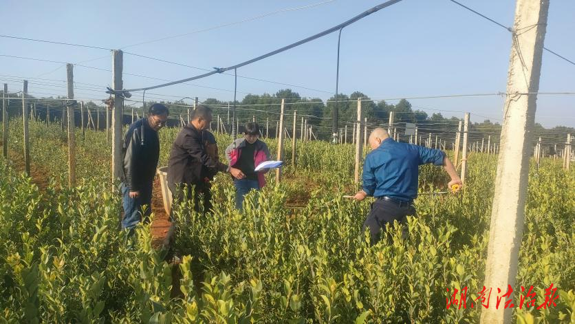 道縣：服務(wù)林企發(fā)展 推進(jìn)生態(tài)建設(shè)