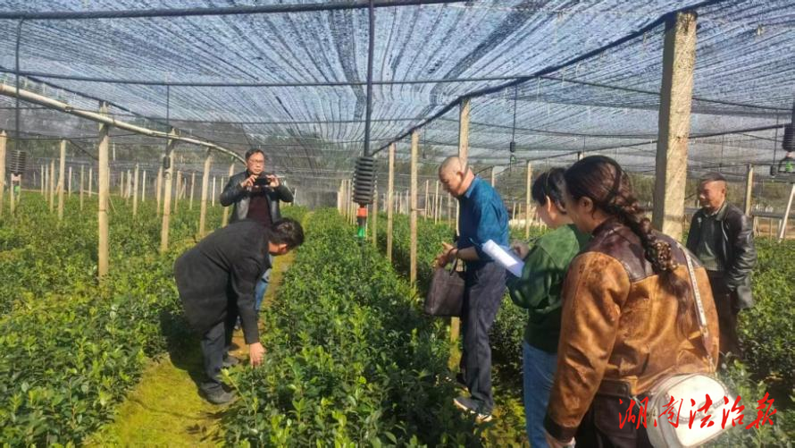 道縣：開展監(jiān)督檢查 確保種苗質(zhì)量