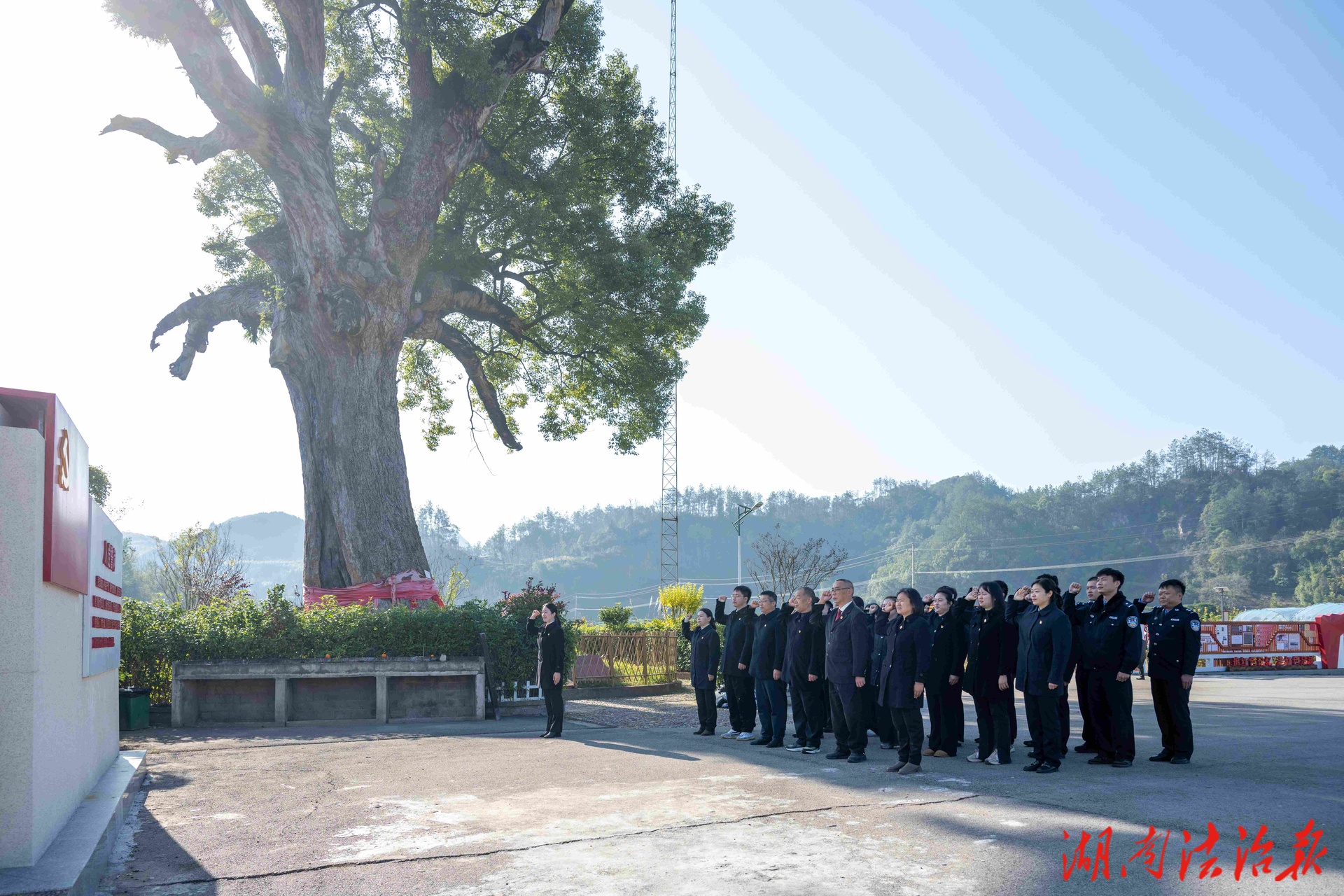 紅色地標悟初心 黨課鑄魂強擔當——武陵源區(qū)人民法院機關(guān)黨支部赴溪口紅軍樹開展主題黨日活動
