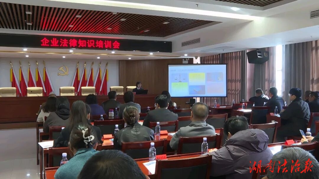 宪法护航，法治护企！临澧检察这场宣讲干货满满