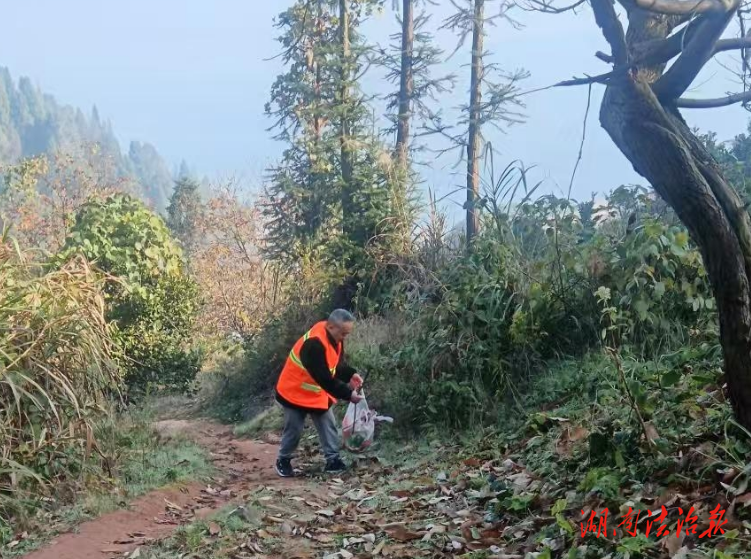 瀘溪縣武溪鎮(zhèn)：深耕林下清理行動 織密冬季森林防火“安全網(wǎng)”
