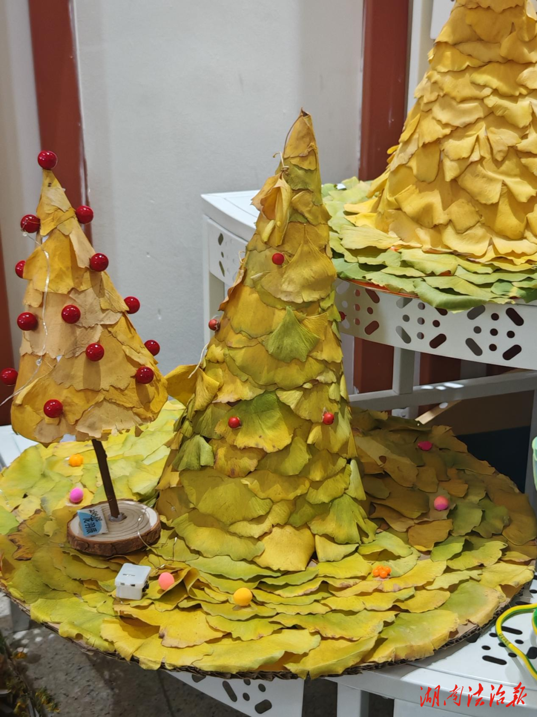 科趣自然 手創(chuàng)未來 | 星星實(shí)驗(yàn)學(xué)?？茖W(xué)學(xué)科活動圓滿落幕