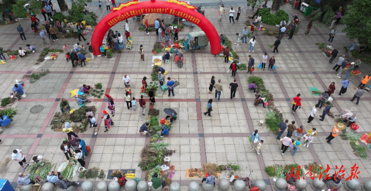 江華：端午藥市火 千年瑤藥香