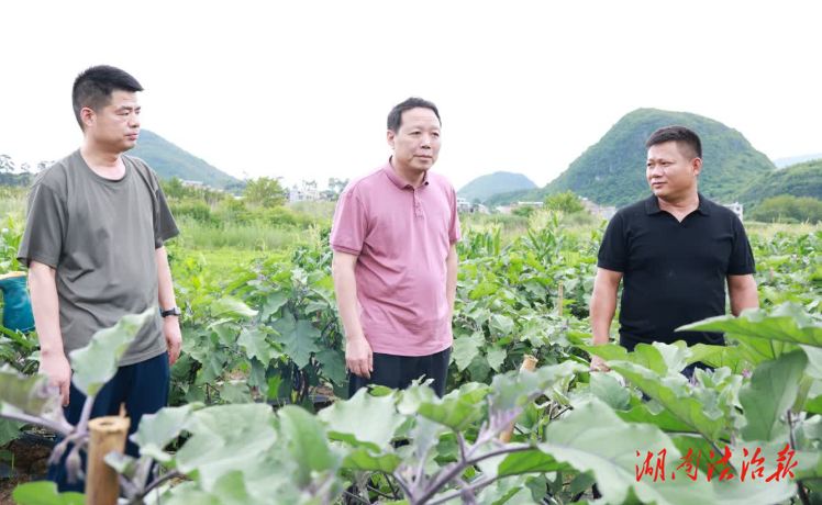 段貴建在鄉(xiāng)鎮(zhèn)調(diào)研鄉(xiāng)村振興并走訪慰問(wèn)困難群眾