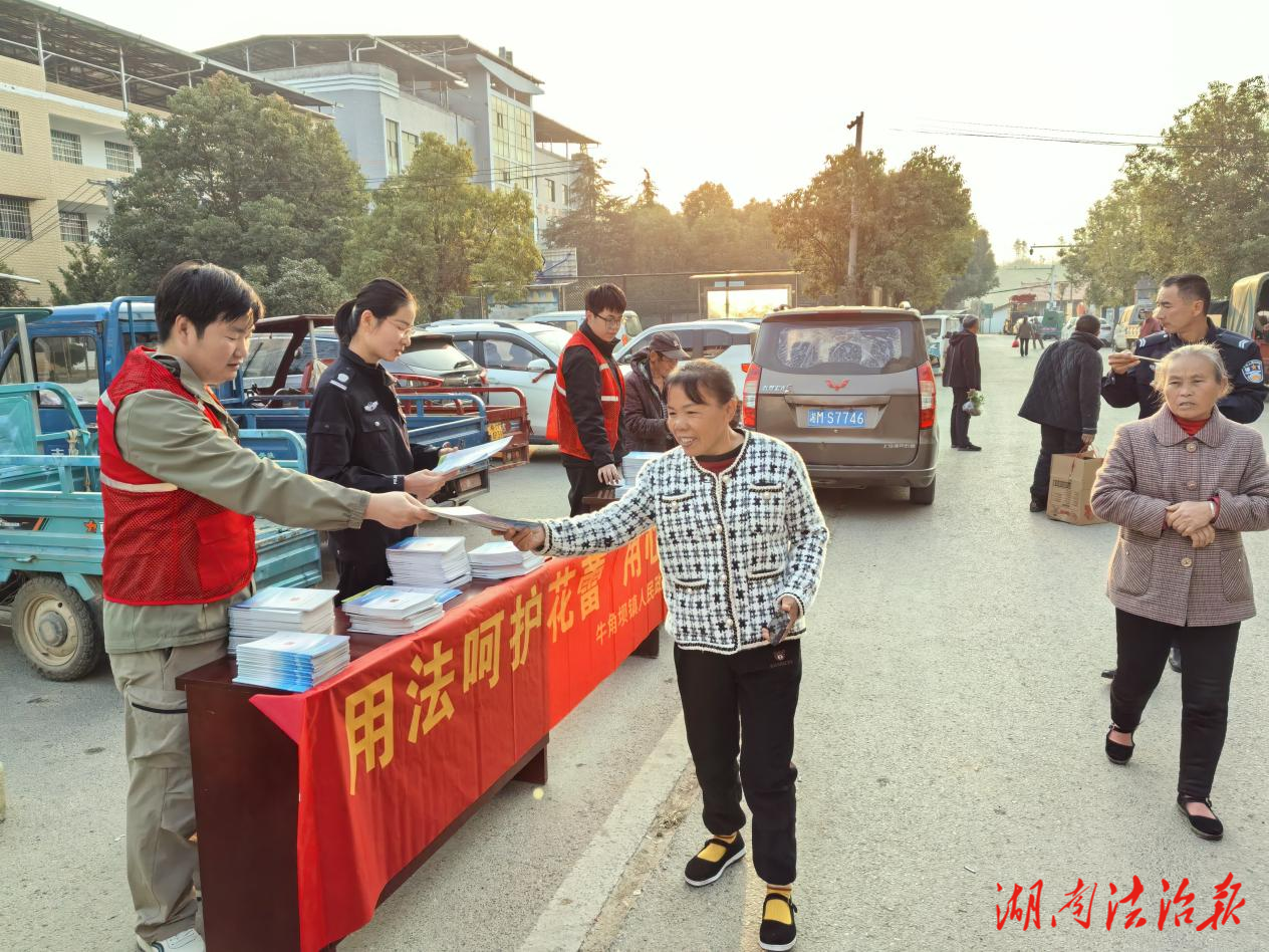 冷水滩区牛角坝镇：多方合力 筑牢护蕾防线