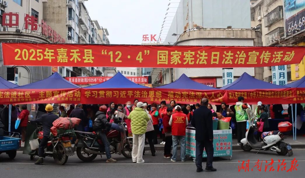 “憲”入煙火處 法潤百姓心——嘉禾縣人民法院開展國家憲法日普法宣傳活動