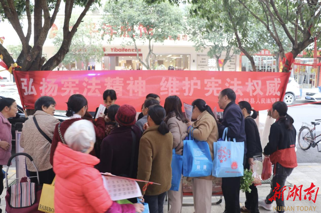 株洲炎陵法院開展憲法宣傳 讓法治信仰植根群眾心間