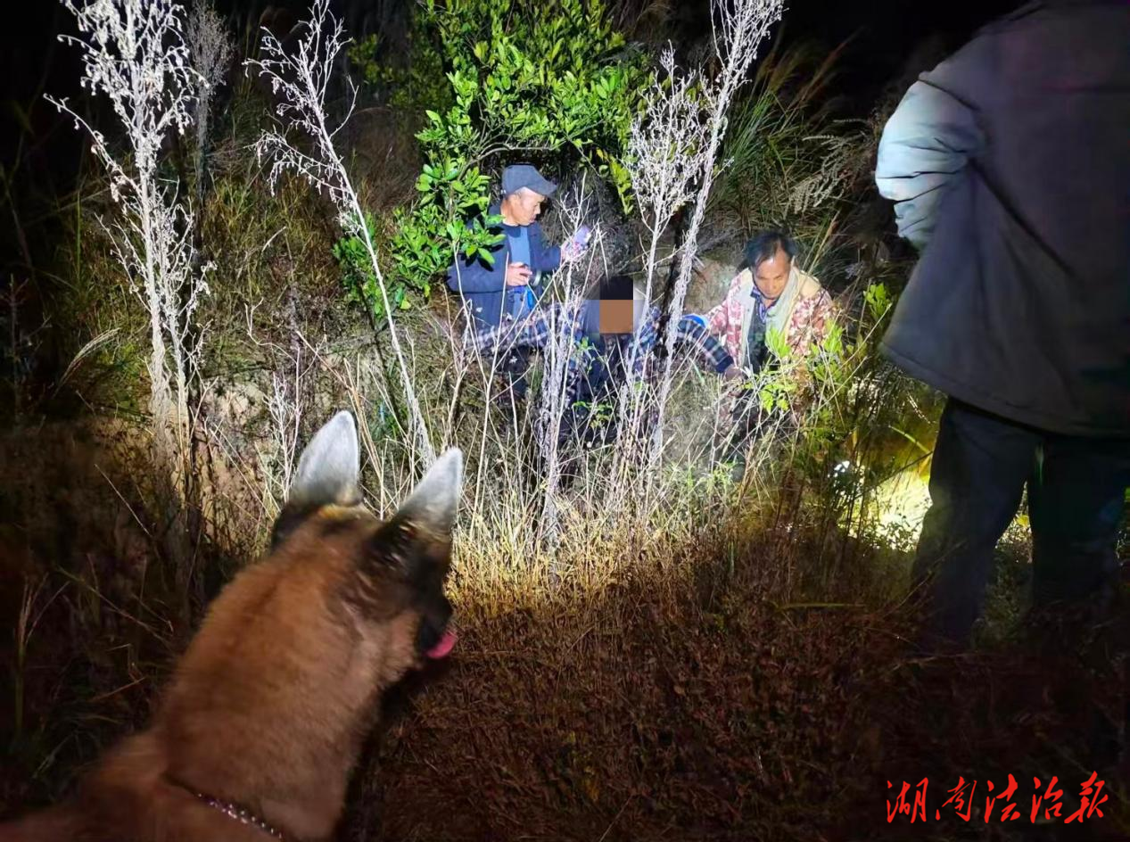 寒夜“犬”力營(yíng)救！警民攜手找回八旬失蹤老人