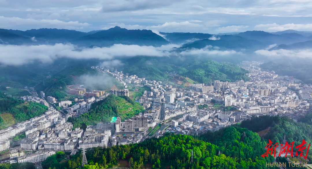 縣鄉(xiāng)人大看郴州⑤ |桂東人大代表聯(lián)絡(luò)站賦能產(chǎn)業(yè)發(fā)展的實(shí)踐圖景：代表服務(wù)最前沿 群眾富在產(chǎn)業(yè)鏈