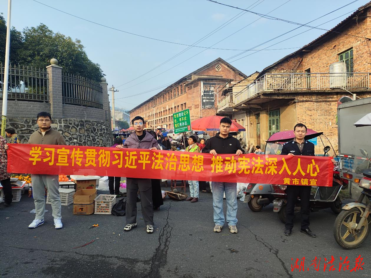 圩場(chǎng)普法接地氣 憲法精神潤(rùn)民心