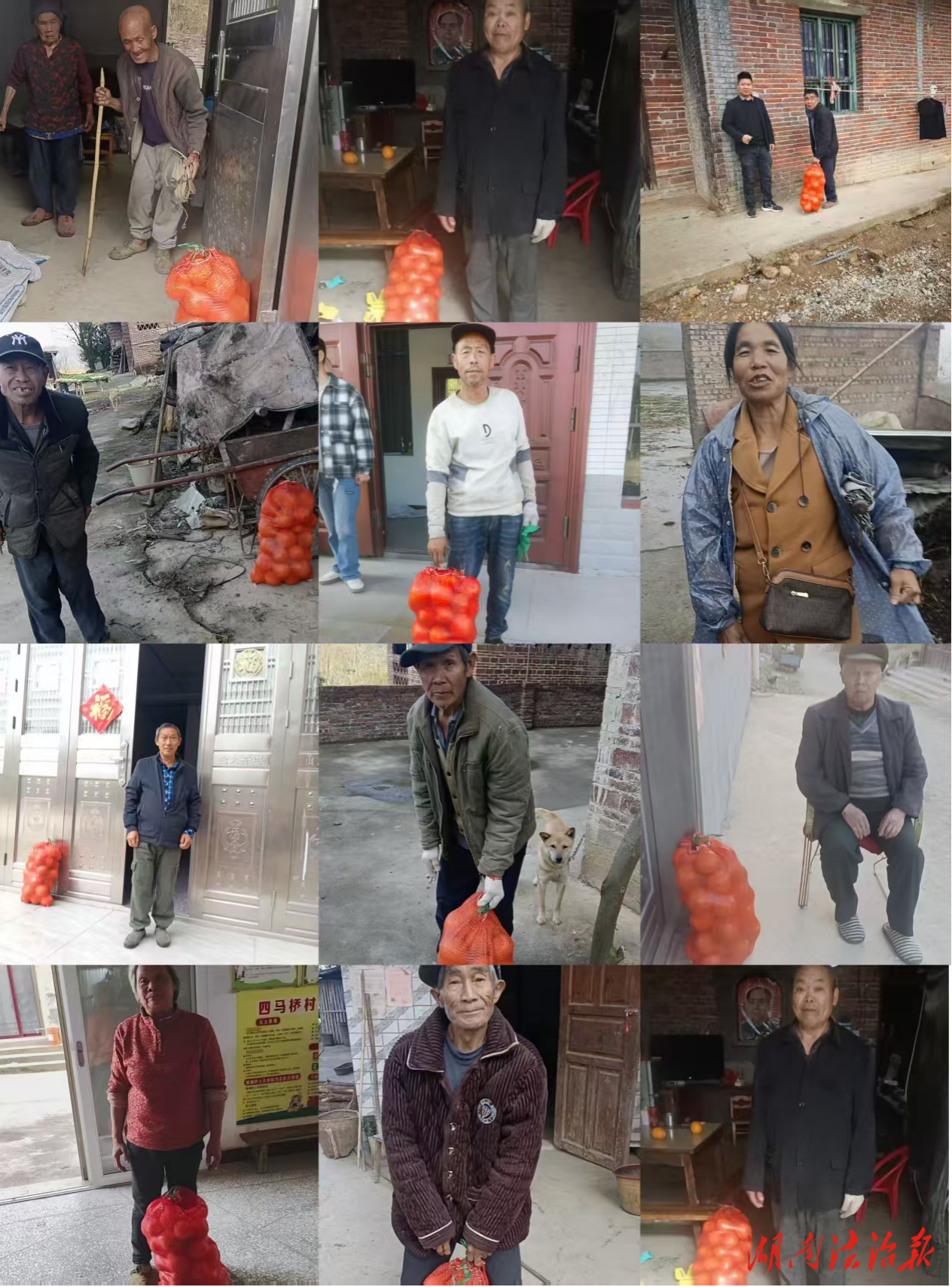 檢察藍(lán)暖心助農(nóng)：滯銷臍橙變“幸福果”真情幫扶贏民心