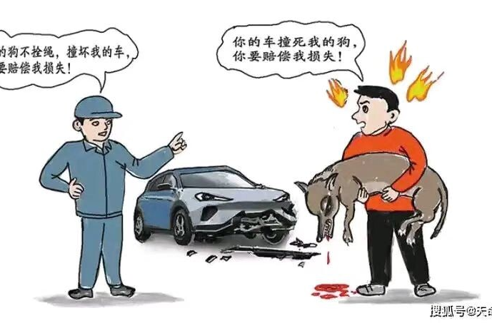 【以案普法】寵物犬被車撞傷，車主該賠哪些錢？法院判了
