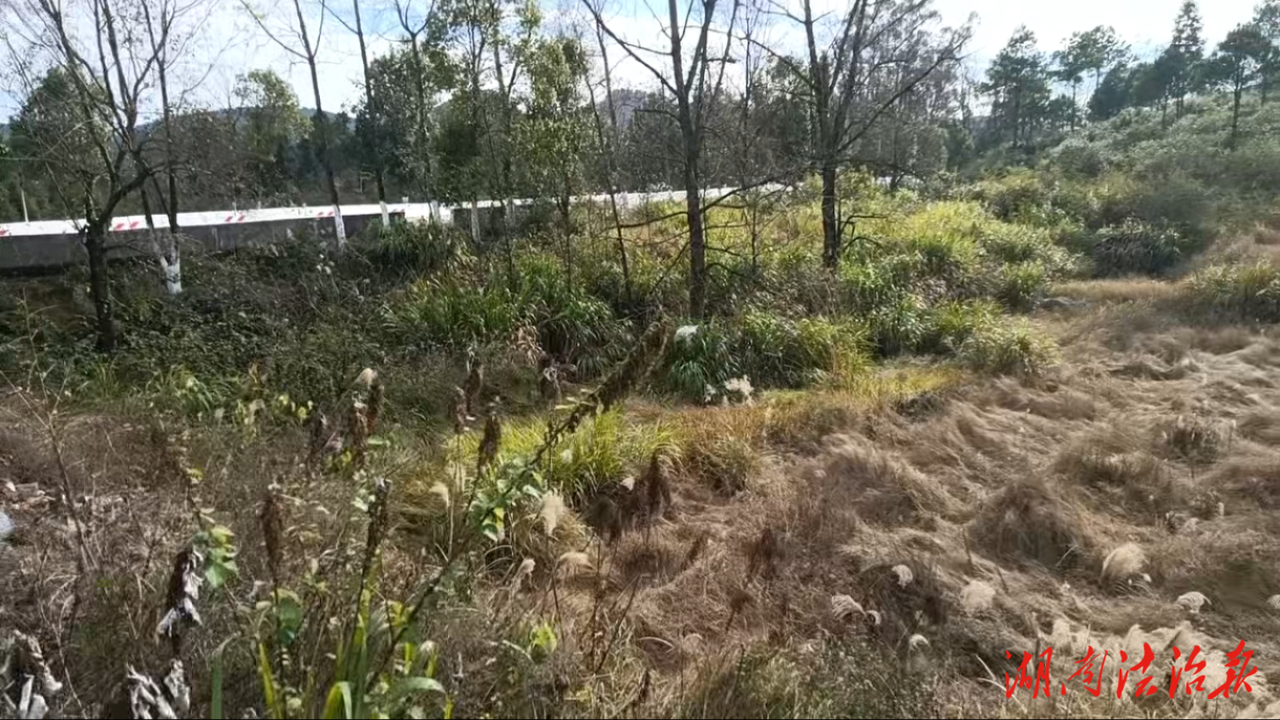 這條朋友圈專門感謝寧遠公安文廟派出所！