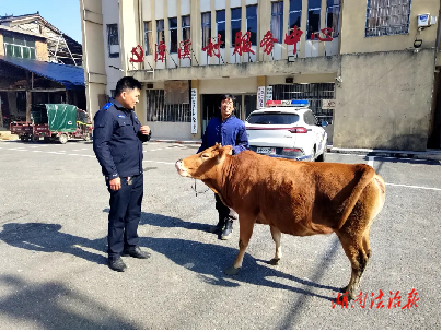 牛！“空中警力”出動，“老伙計”到家了……