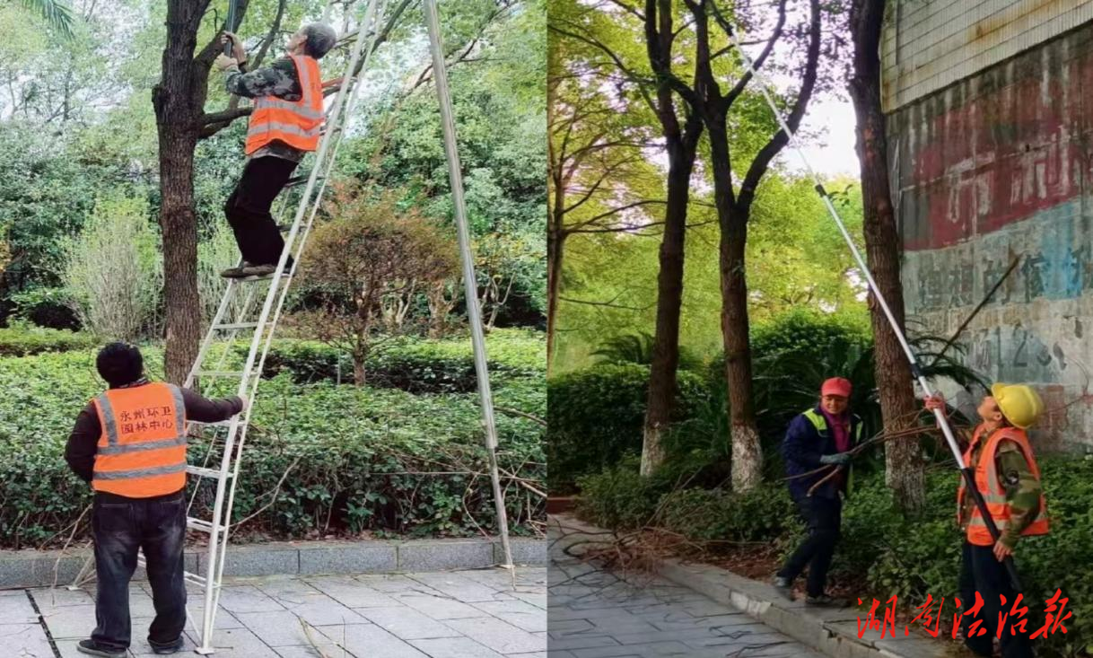 【首位度·潔綠行】冷水灘區(qū)環(huán)衛(wèi)和園林中心為市委綠植“強(qiáng)體賦能”