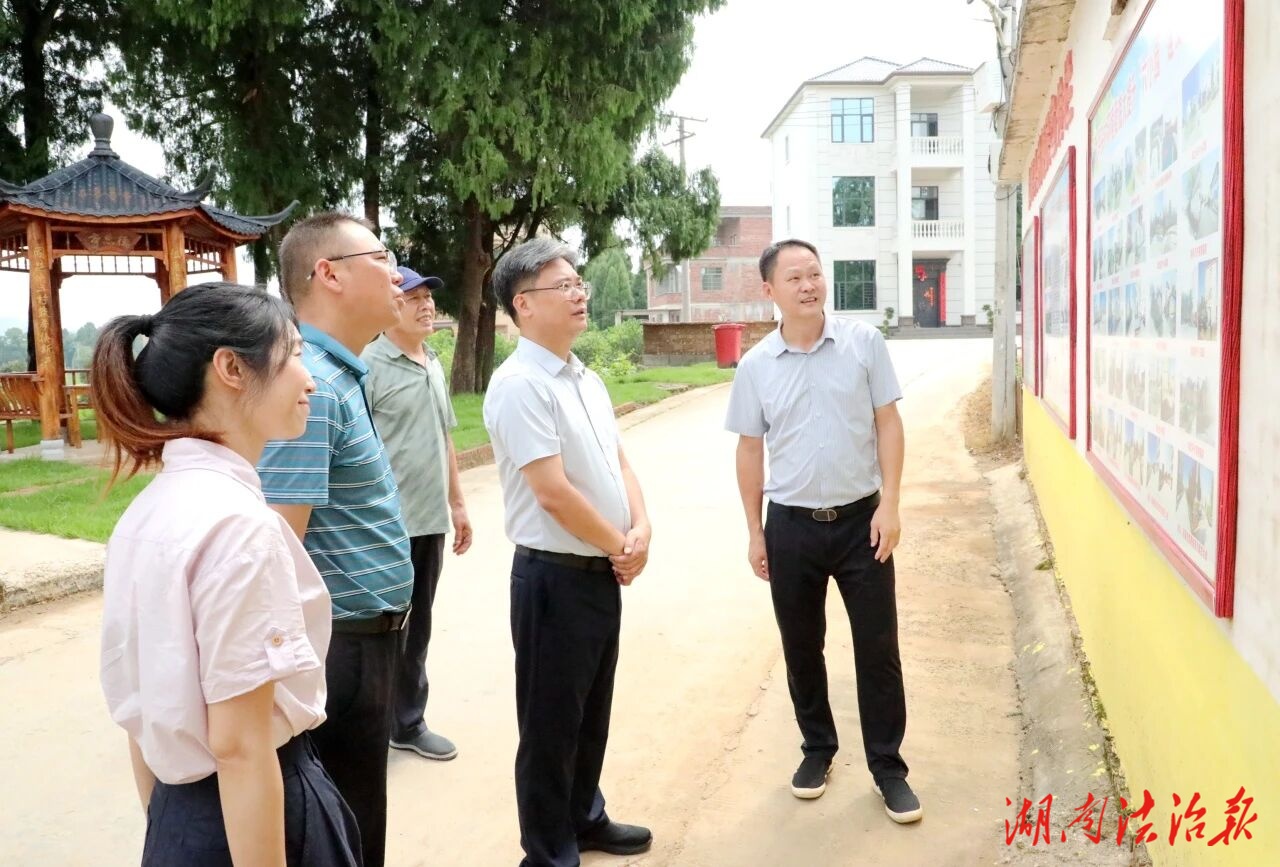 陳雄在調研鄉村振興工作時強調：扛牢政治責任 建設和美鄉村 推動鄉村全面振興
