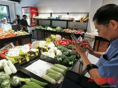 追求匠心 玉汝于成 芦淞区检察院“芦益随行”办案团队暨民事行政公益诉讼部门工作侧记
